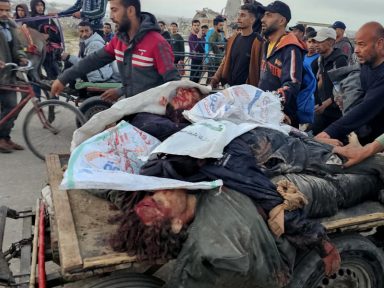 Israel abre fogo contra multidão faminta em Rafah e deixa 31 mortos e 170 feridos