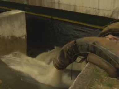 Companhia Ambiental de SP cobra Sabesp por despejo irregular de esgoto no Tietê