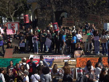‘PL da Devastação’: manifestações em capitais denunciam retrocessos ambientais no Congresso
