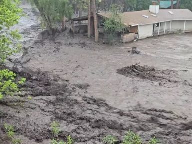 Cortes e demissões em massa de Trump podem ter exacerbado mortes na enchente do Texas