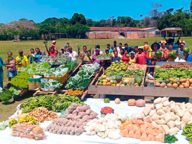 Vereadora bolsonarista quer impedir Prefeitura de SP de comprar alimentos da reforma agrária
