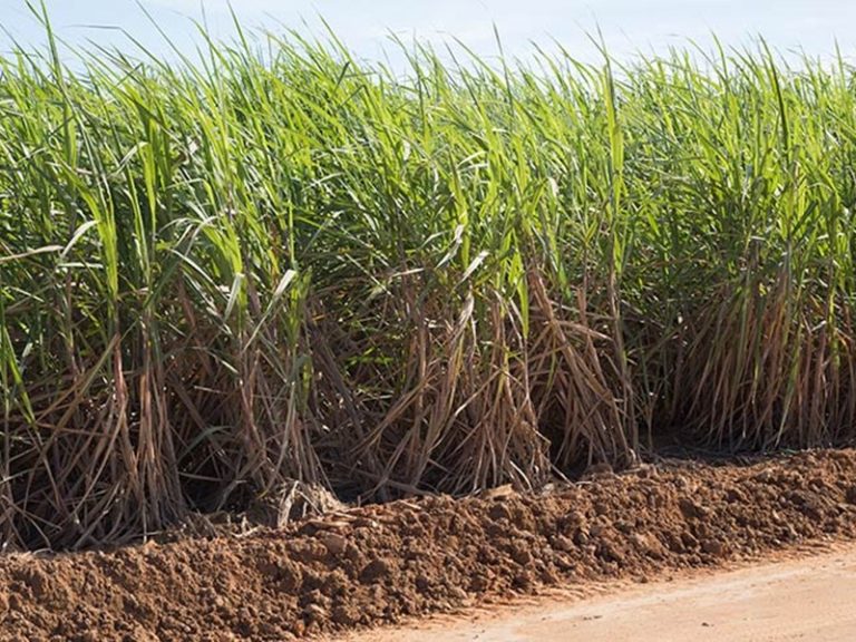 Preços da indústria caem 1,29% em maio