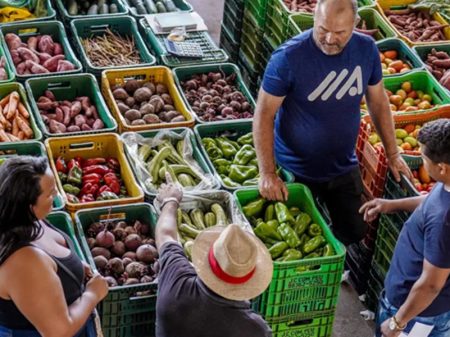 IPCA-15: preço dos alimentos recua, mas conta de luz pressiona inflação em julho