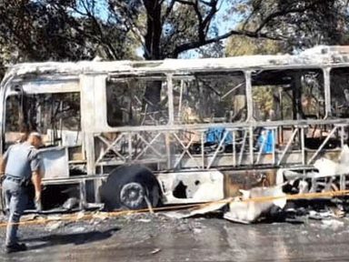 Bolsonarista é preso por ataques a ônibus em SP