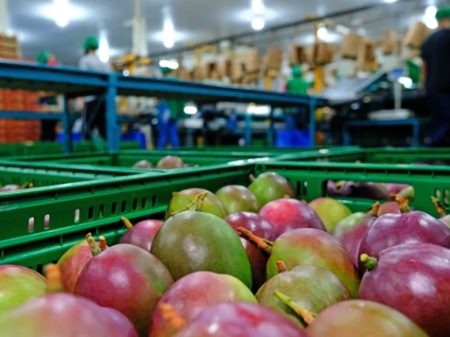 “Brasil Soberano” é um avanço no combate ao tarifaço de Trump, diz Abrafrutas